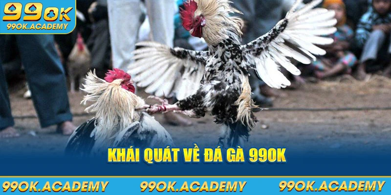 Khái quát về đá gà 99ok