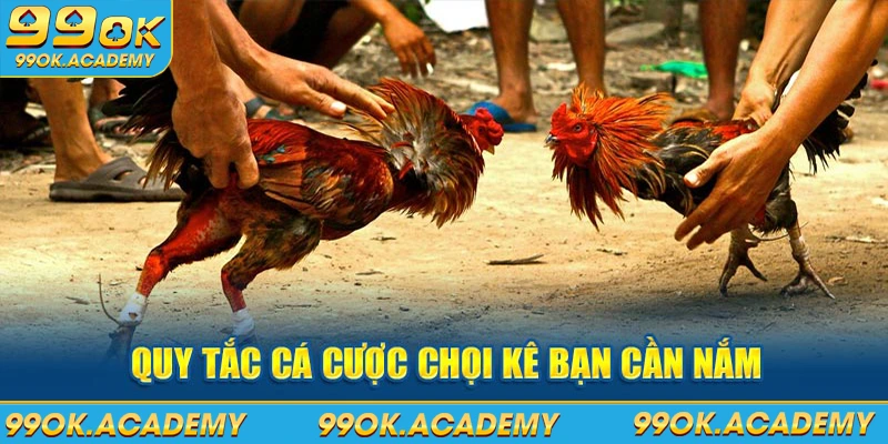 Quy tắc cá cược đá gà 99ok bạn cần nắm